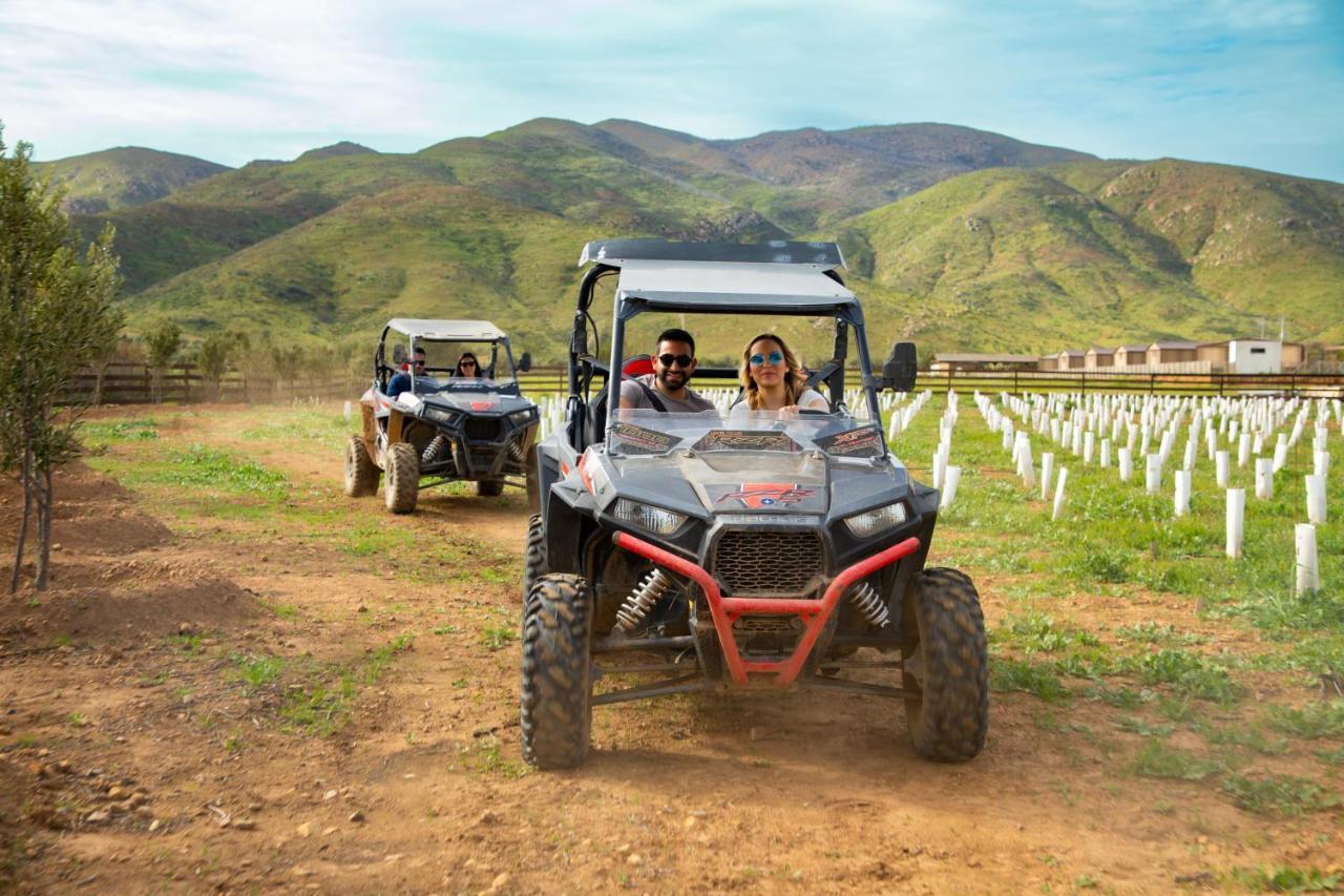 Indomito Resort & Hotel Boutique Valle de Guadalupe Dış mekan fotoğraf